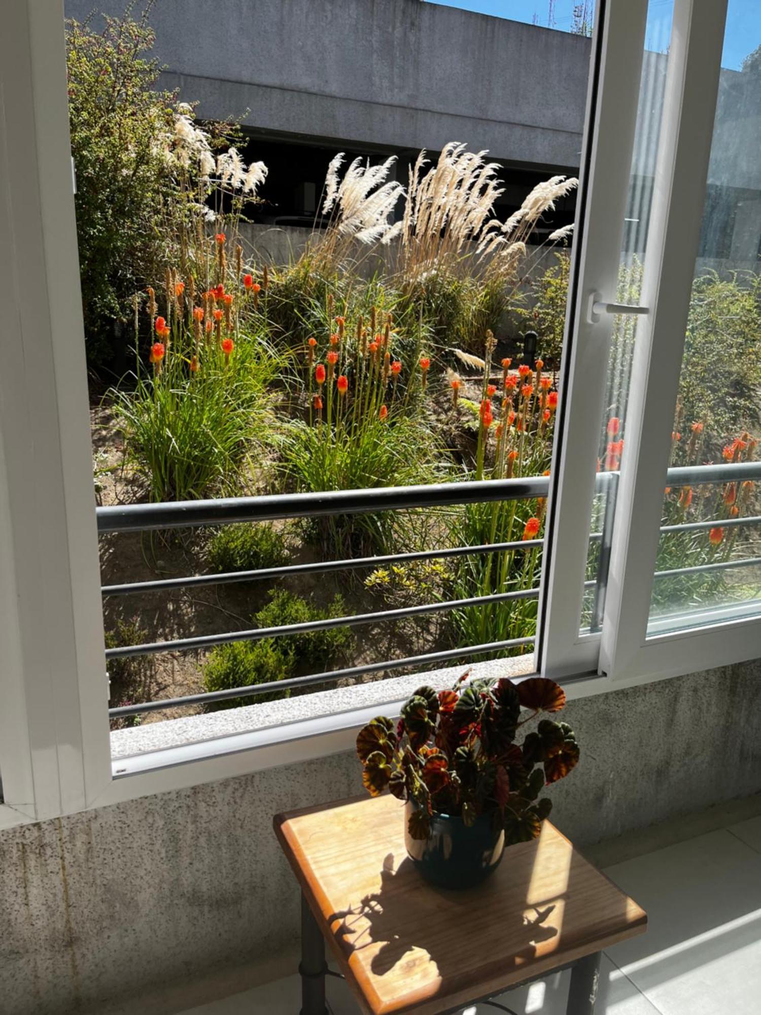 Departamento El Chiriwe Apartment Puerto Varas Ngoại thất bức ảnh